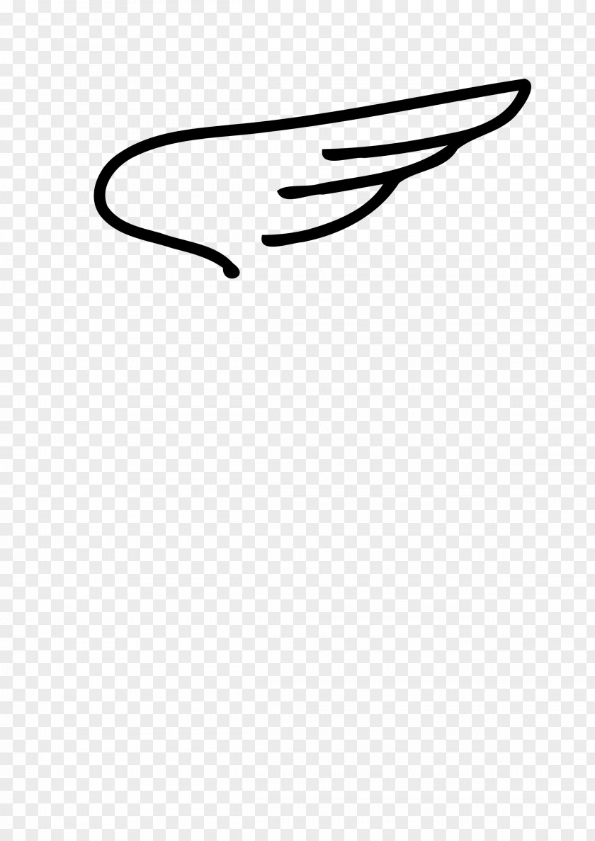 Wing Airplane Clip Art PNG