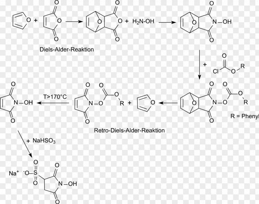 Alder N-Hydroxysulfosuccinimide Sodium Salt N-Hydroxysuccinimide N-Hydroxymaleinimid Metabisulfite Diels–Alder Reaction PNG