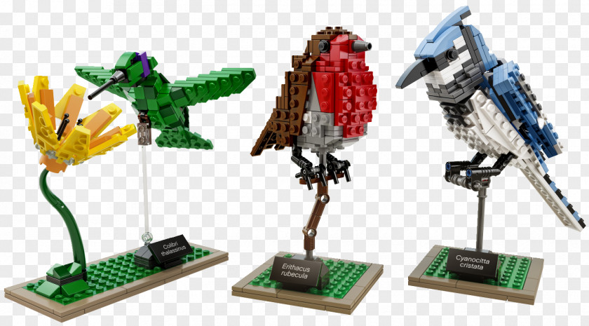 Bird Lego Birds: Les Briques S'envolent Ideas Amazon.com Hummingbird PNG