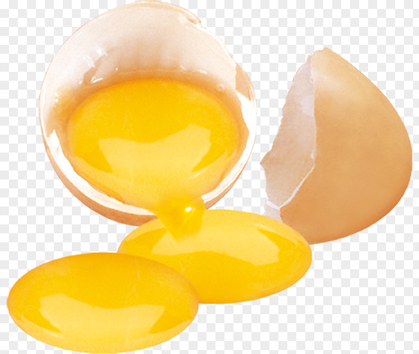 Egg Yolk Chicken Yellow PNG