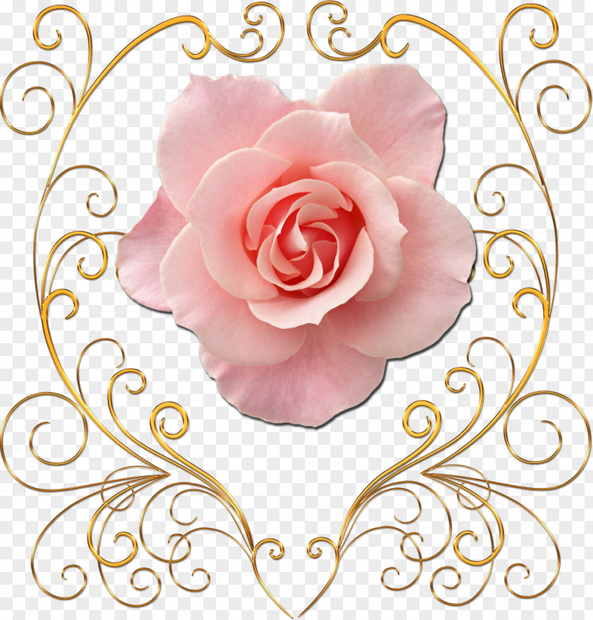 Gold Flower Clip Art PNG