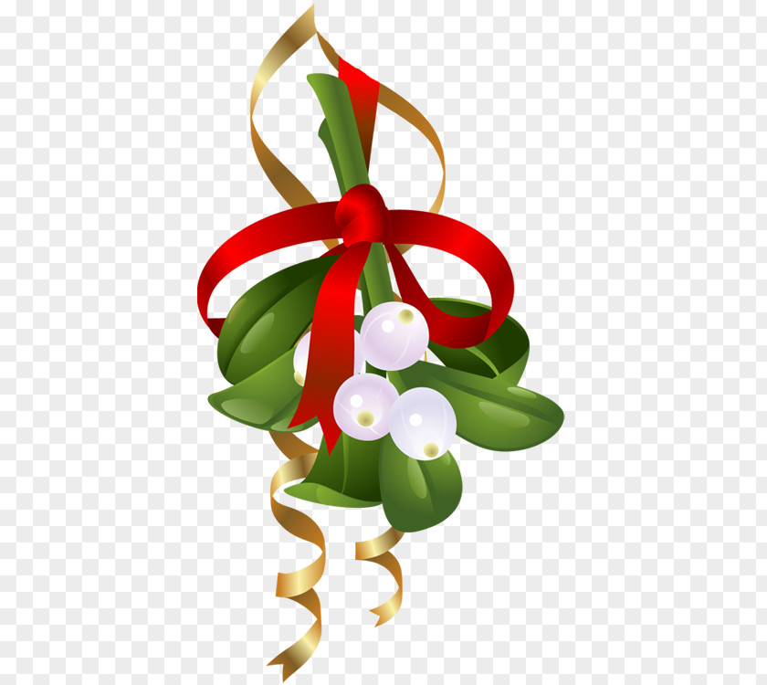 Mistletoe Cliparts Transparent Christmas Decoration Illustration PNG