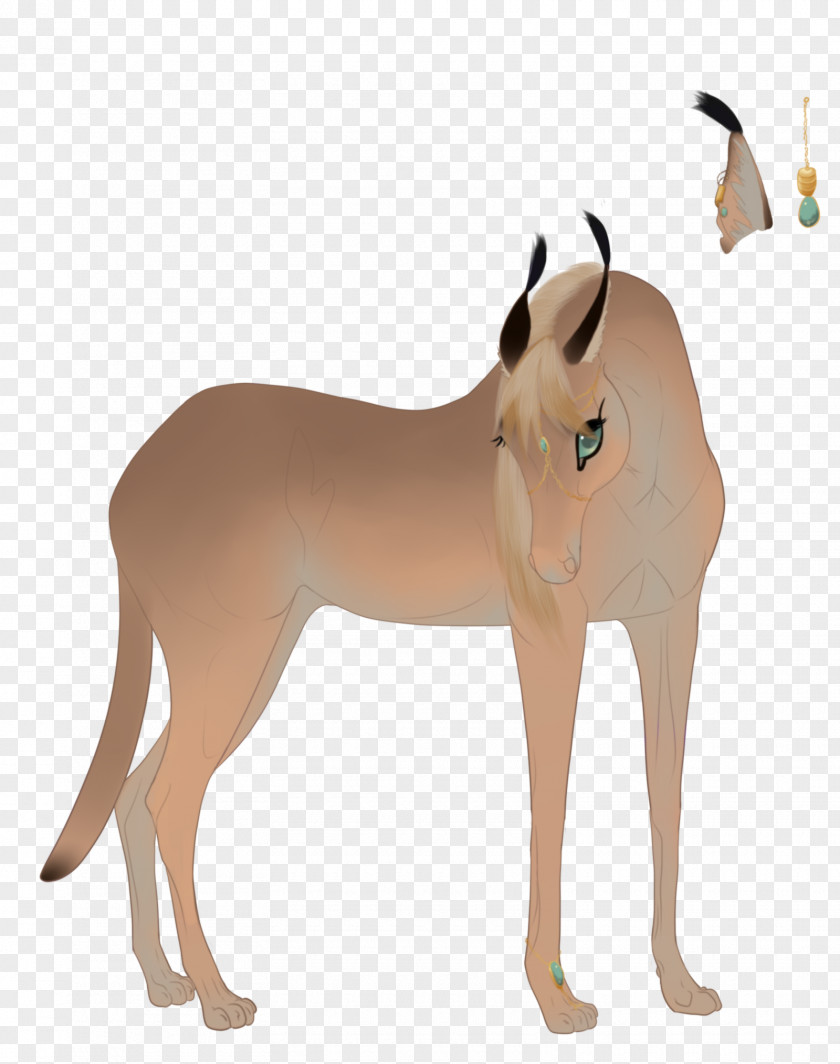 Mustang Donkey Pony Rein Dog PNG