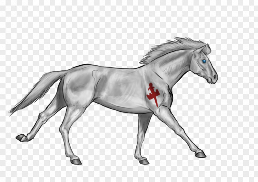 Mustang Mane Foal Pony Stallion PNG