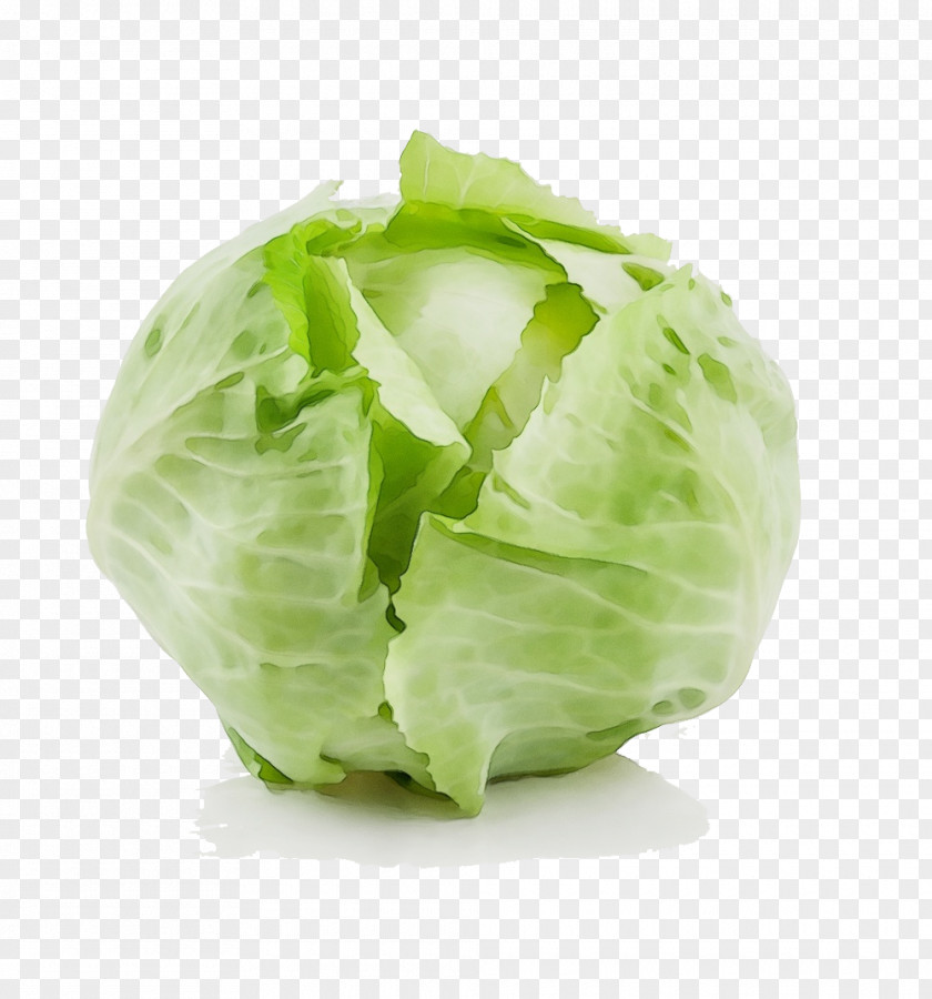 Plant Cruciferous Vegetables Cabbage Iceburg Lettuce Vegetable Leaf PNG