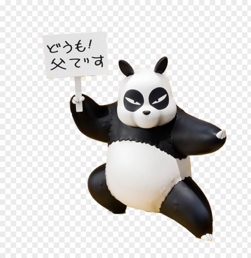 Ranma 1/2 Genma Saotome Ryu Kumon Giant Panda Nodoka ½ PNG