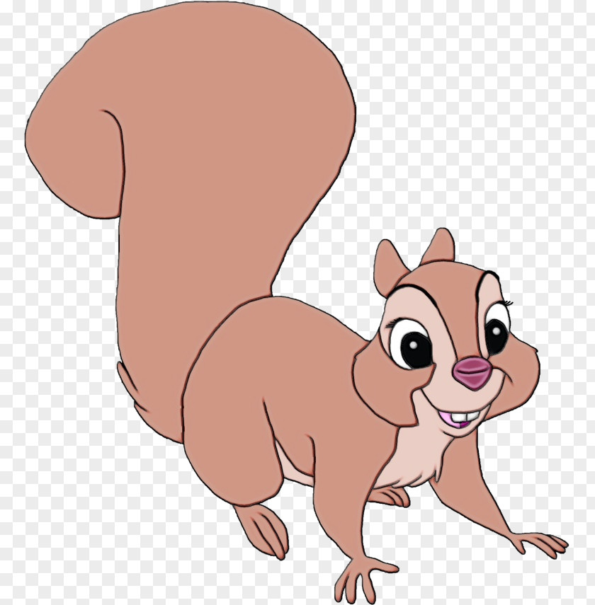 Squirrel Cartoon Tail Snout Animation PNG