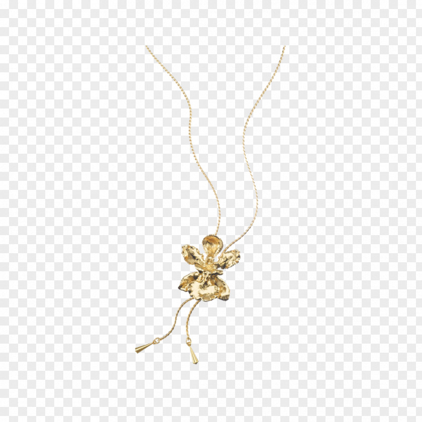 The Chopsticks To Fish Necklace Charms & Pendants Body Jewellery Jewelry Design PNG