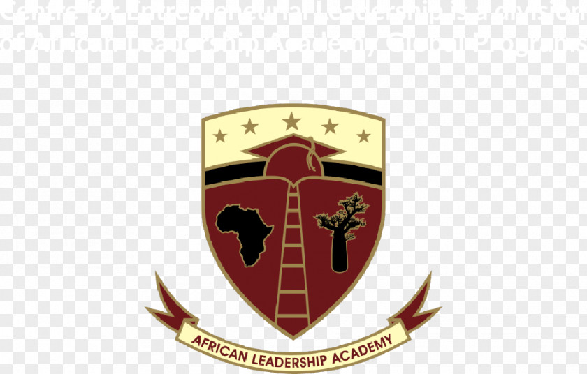School African Leadership Academy Mount Sinai International Education Johannesburg PNG