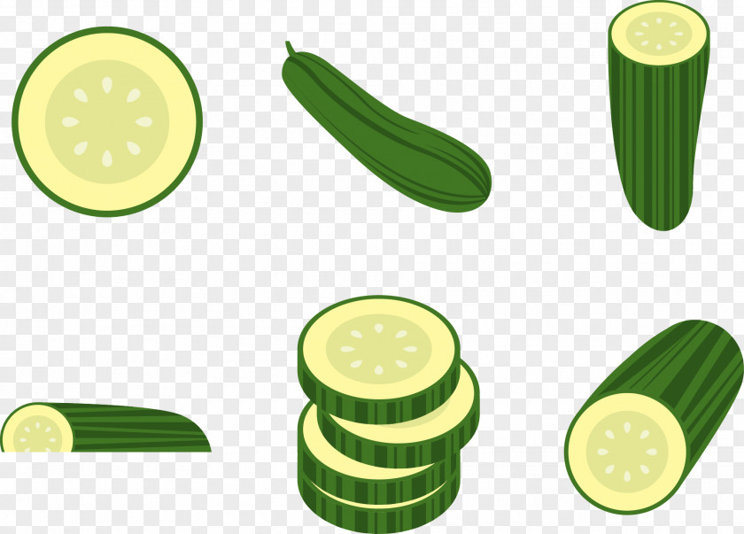 Vector Cucumber Slices Pepino Euclidean PNG