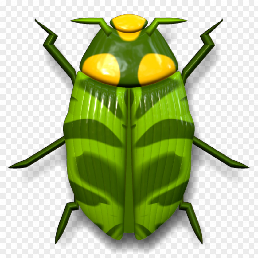 Beetle Ladybird Clip Art Scarabs PNG