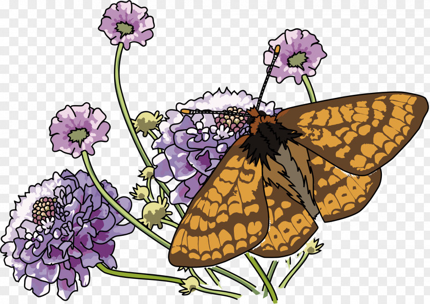 Butterfly Marsh Fritillary Clip Art PNG