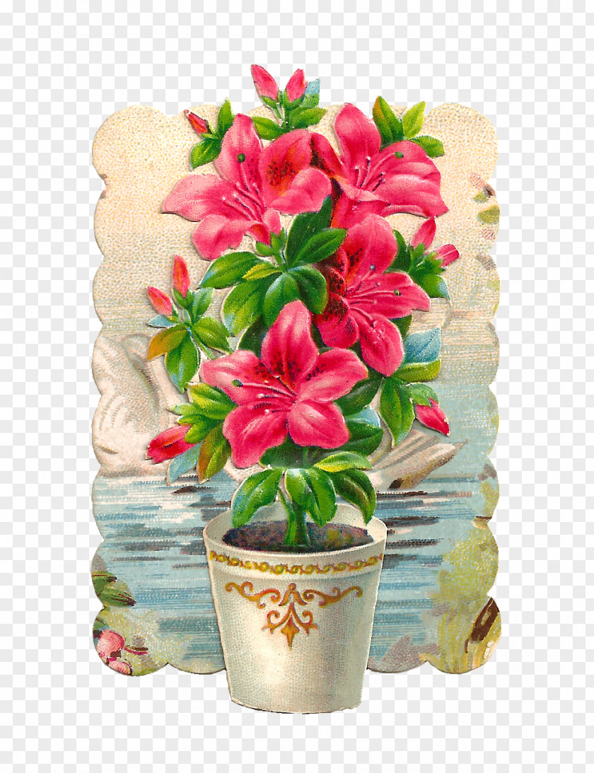 Flower Pot Flowerpot Plant Hibiscus Clip Art PNG