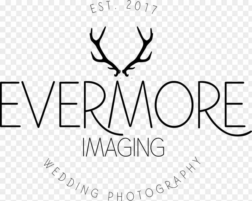 Photographer Evermore Imaging Wedding Photography Light Surrounding You PNG