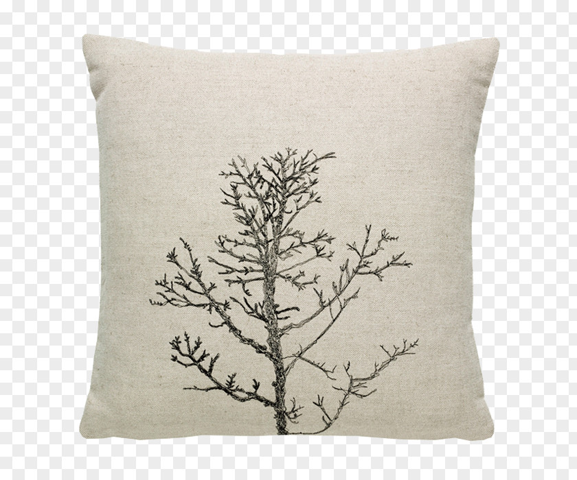 Pillow Cushion Throw Pillows Branch Tree PNG