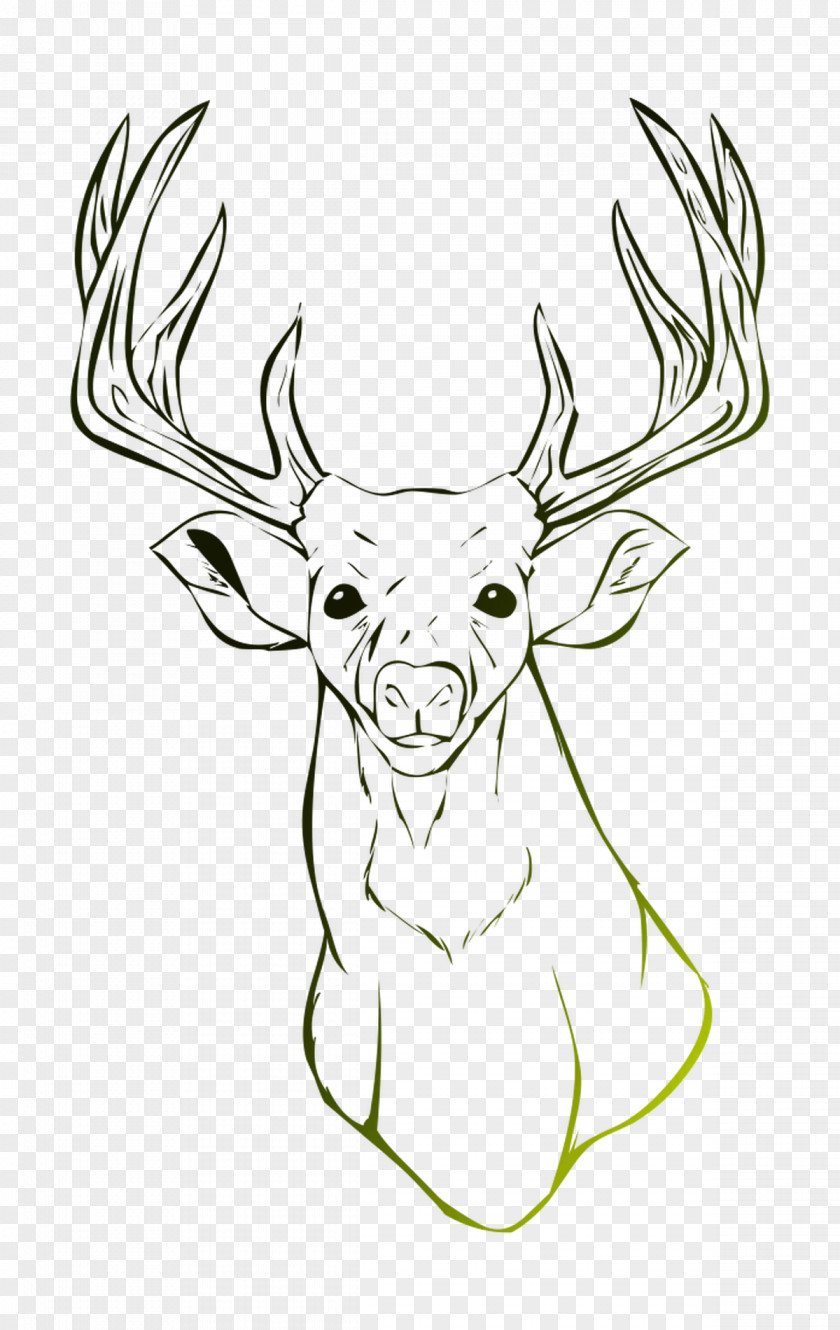 Reindeer Moose Drawing Image PNG