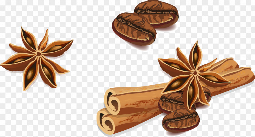 Vector Hand-painted Star Anise Cinnamon PNG