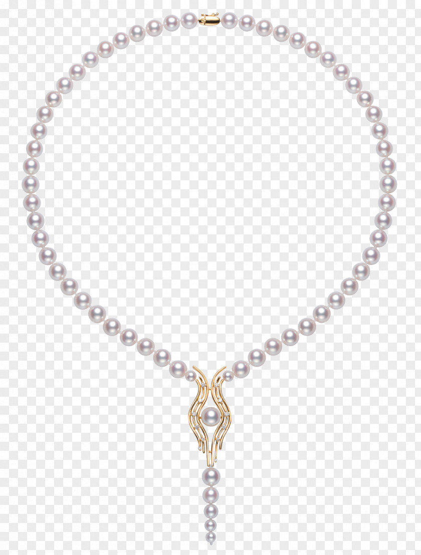 Akoya Pearl Oyster Jewellery Paradise PNG