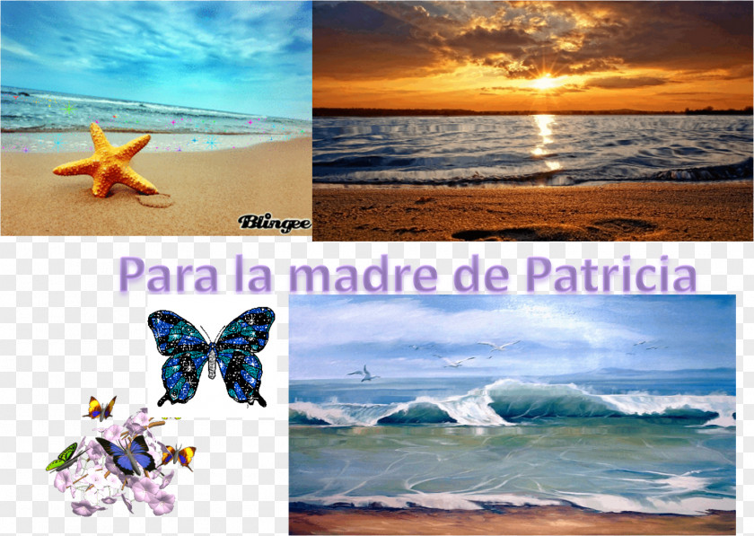 Dia De La Mujer Advertising Desktop Wallpaper Stock Photography Vacation Tourism PNG