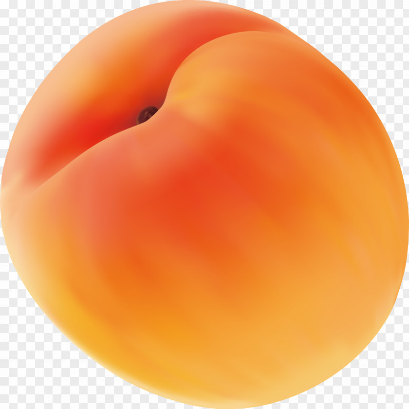 Peach Decorative Vector Close-up Apple PNG