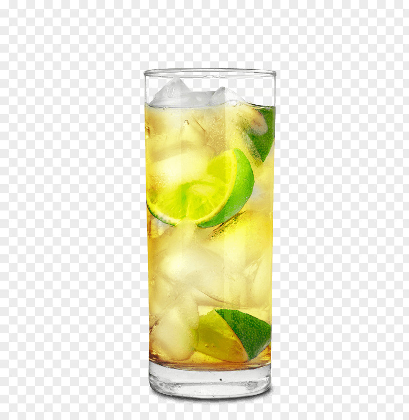 Pineapple Mint Punch Rickey Limeade Caipirinha Vodka Tonic PNG