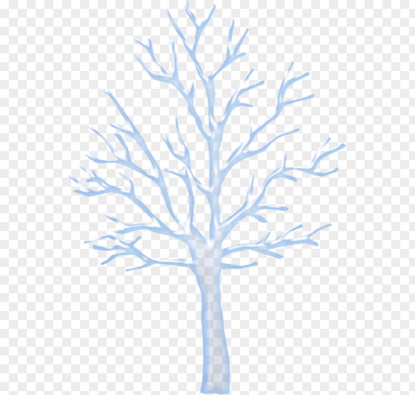 White Aspen Arbre Clip Art Tree Trunk Image PNG