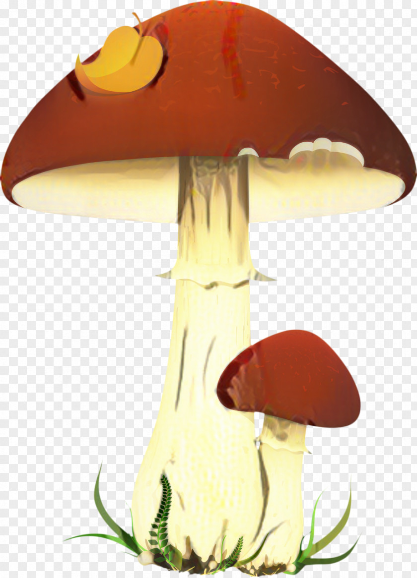 Bolete Agaricus Mushroom Cartoon PNG