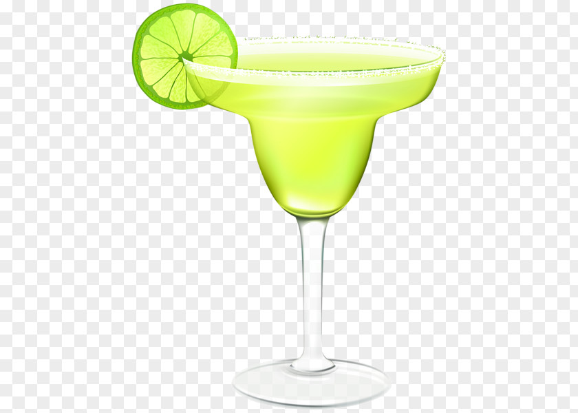 Cocktail Margarita Garnish Martini Clip Art PNG