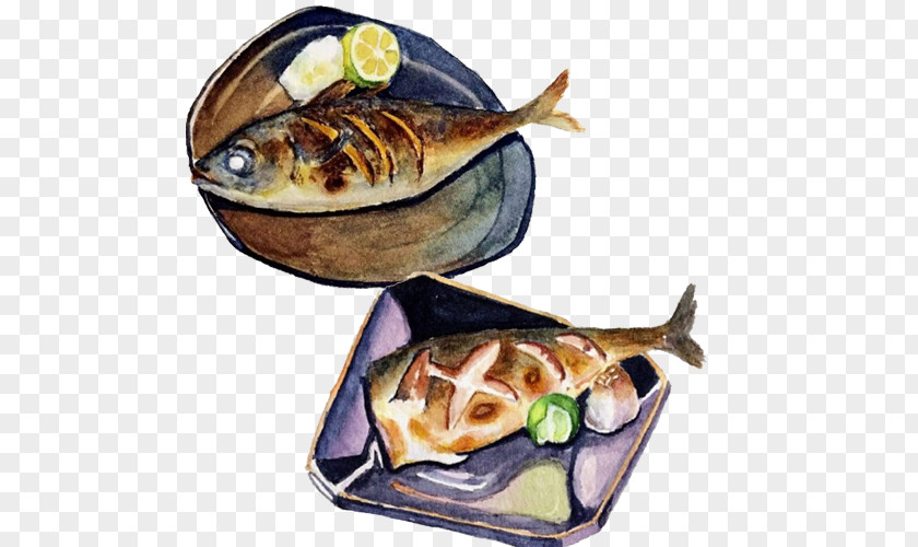 Fish Hand Drawing Material Picture Barbecue Roasting Food Illustration PNG