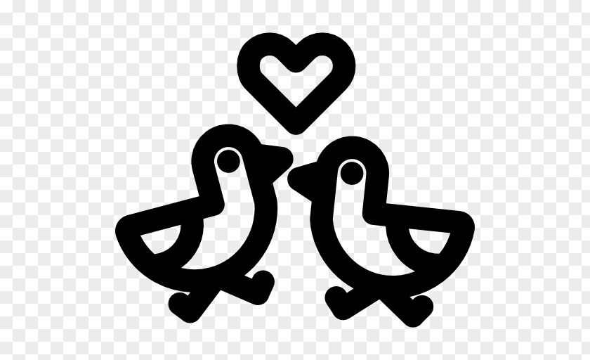 Love Birds Bird Vertebrate Beak Logo PNG