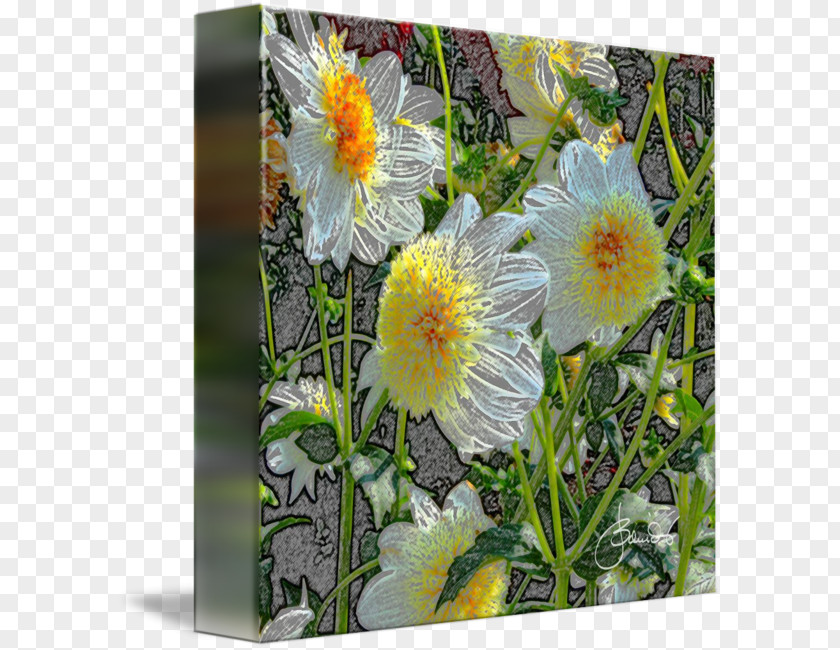 Watercolor Dahlia Gallery Wrap Yellow Canvas Daisy Family Art PNG
