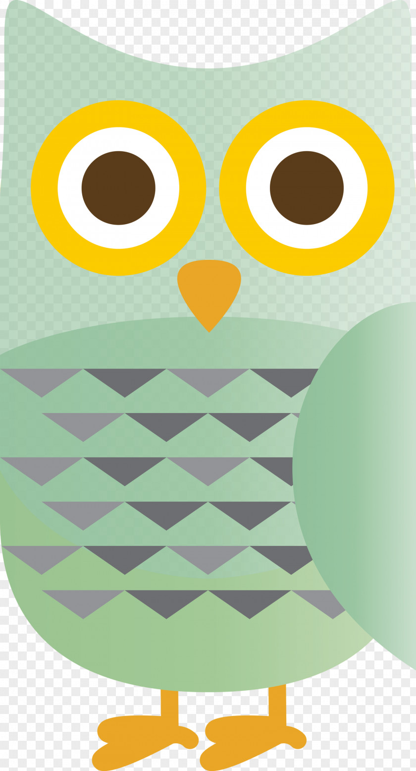 Owl M Yellow Meter Pattern Beak PNG