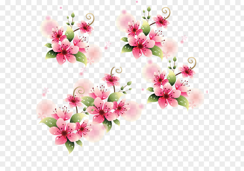 Peach Blossom Download PNG