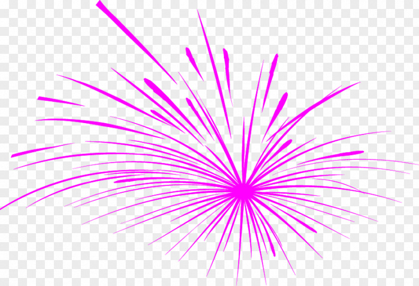 Pink Fireworks Adobe PNG