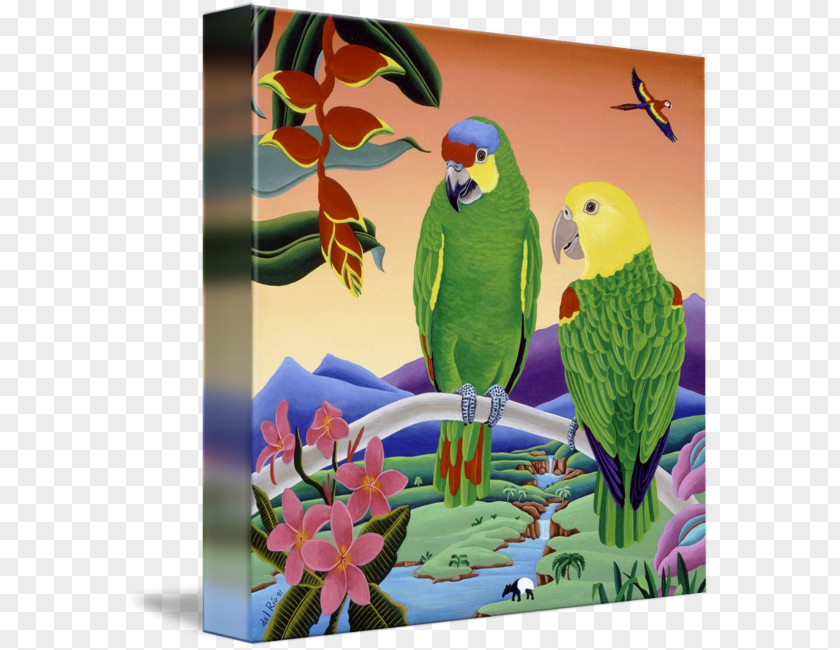 Amazon Parrot Lovebird Macaw Painting PNG