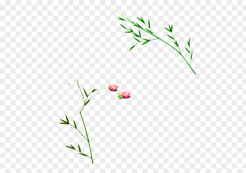 Bamboo Floral Design Petal Pattern PNG