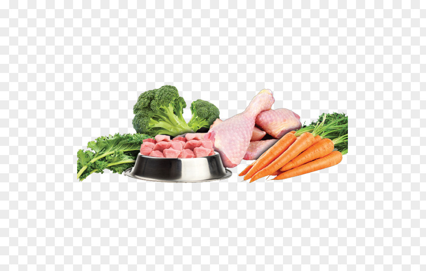 Dog Raw Foodism Vegetarian Cuisine Leaf Vegetable Feeding PNG