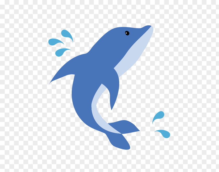 Dolphin Common Bottlenose Tucuxi Illustration Clip Art PNG