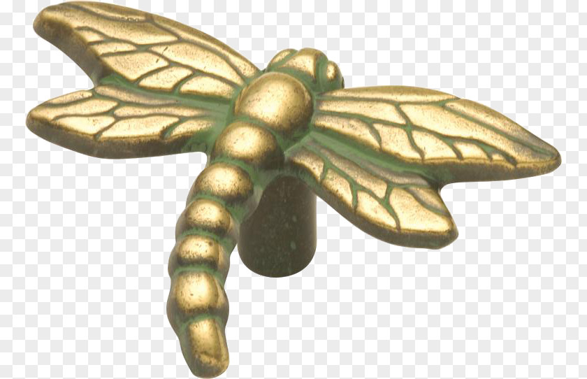 Insect Drawer Pull Cabinetry Furniture PNG