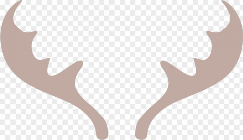 Material Property Antler Eyelash PNG