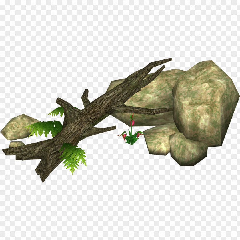 Moss Log Tree Reptile Amphibians PNG