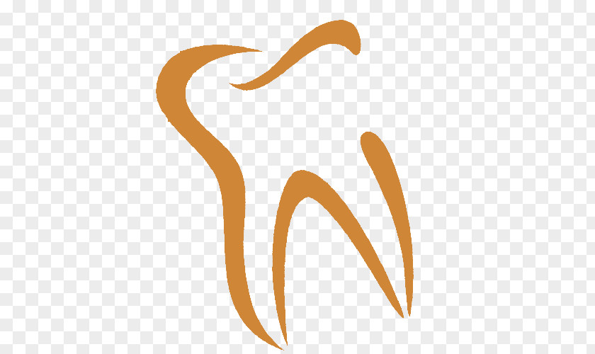 Orthodontics Human Tooth Therapy PNG