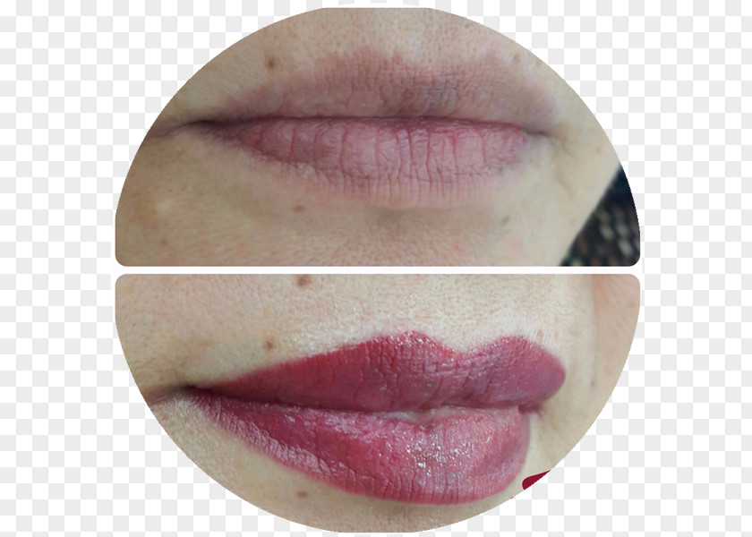 Sobrancelhas A Sobrancelharia Permanent Makeup Eyebrow Lip Gloss Pigment PNG