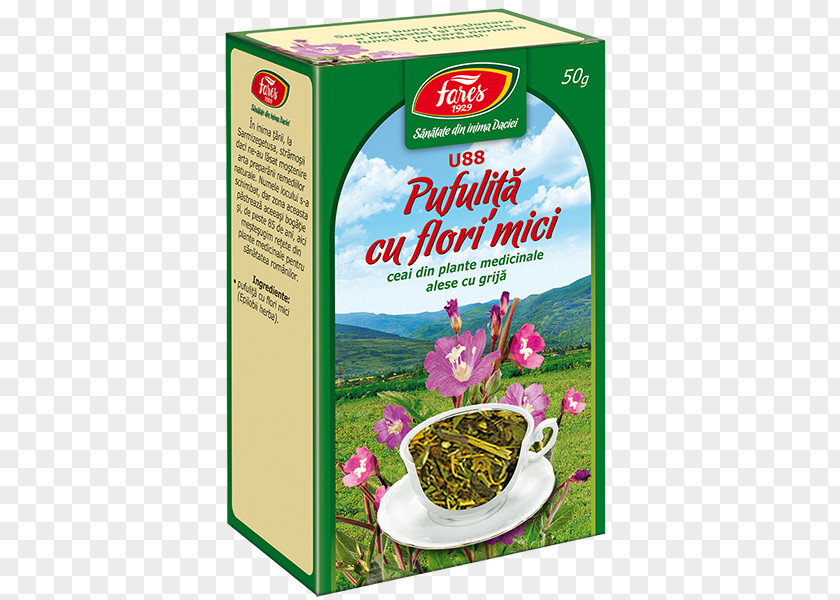 Tea Green Fares Prostate Romania PNG