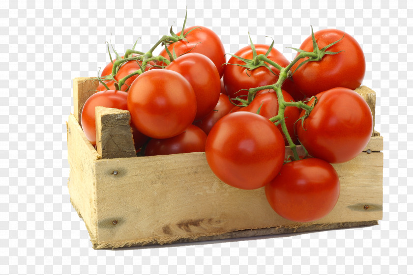 Tomato Nutrient Lycopene Paste Food PNG