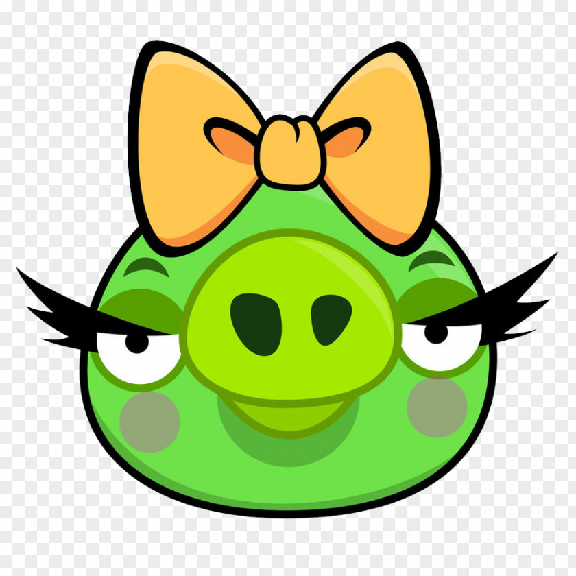 Angry Pig Birds Stella Go! Epic PNG