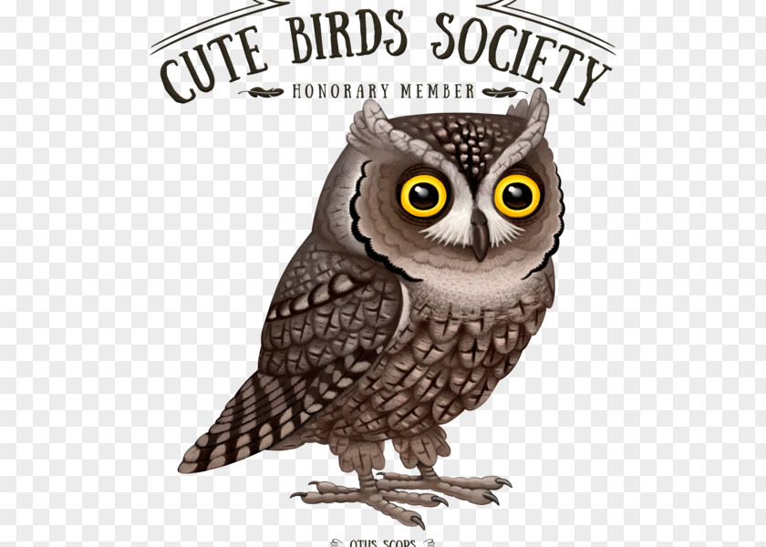 Beak Great Horned Owl Cartoon PNG