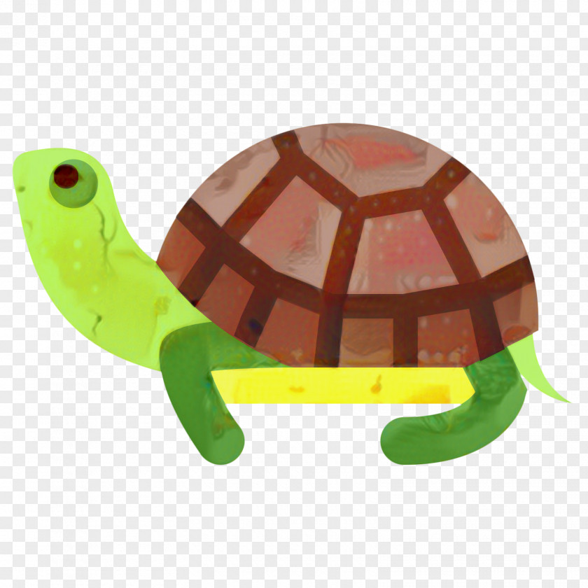 Box Turtle Baby Toys Sea Background PNG