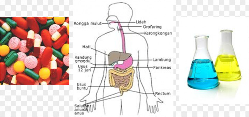 DIARE Antimicrobial Penicillin Tetracycline Antibiotics Aminoglycoside PNG