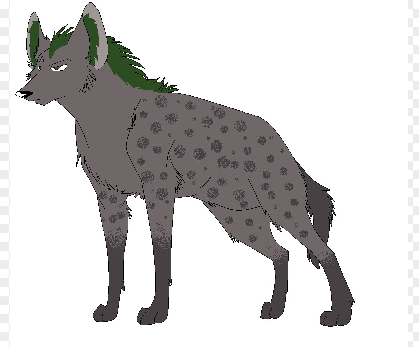 Hyena Art Lion Clip PNG